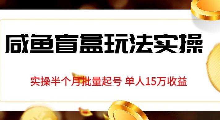 独家首发咸鱼盲盒玩法实操，半个月批量起号单人15万收益【揭秘】_豪客资源库