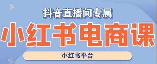 小红书电商高级运营课程，实操教学+案例分析_豪客资源库