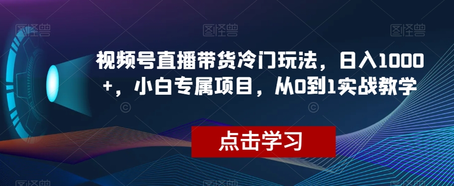 视频号直播带货冷门玩法，日入1000+，小白专属项目，从0到1实战教学【揭秘】_豪客资源库