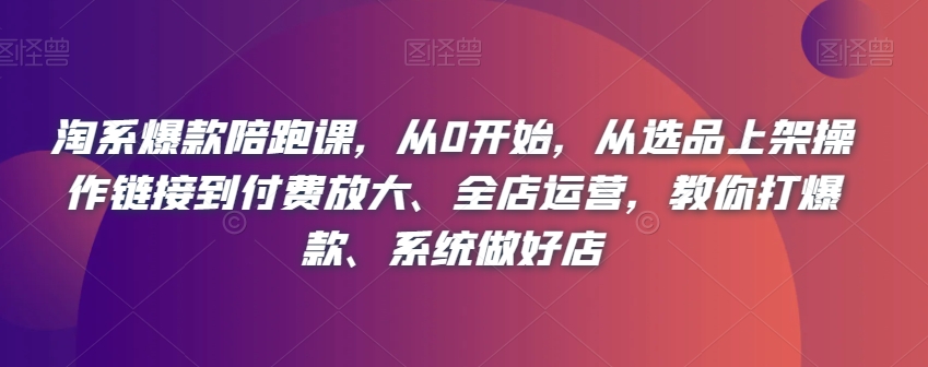 淘系爆款陪跑课，从0开始，从选品上架操作链接到付费放大、全店运营，教你打爆款、系统做好店_豪客资源库