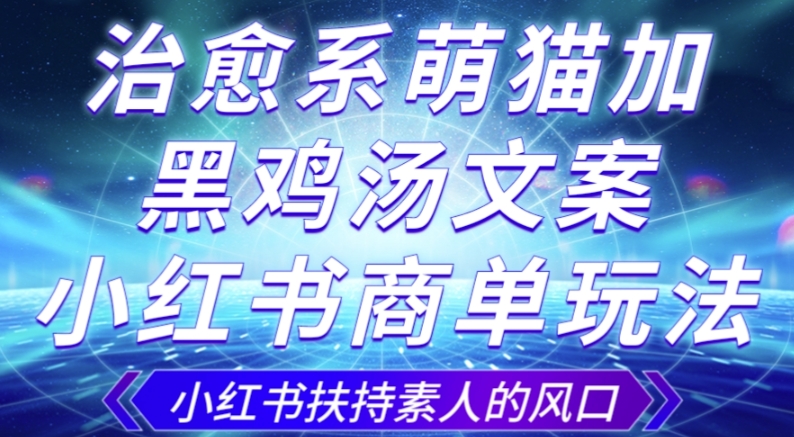 治愈系萌猫加+黑鸡汤文案，小红书商单玩法，3~10天涨到1000粉，一单200左右_豪客资源库