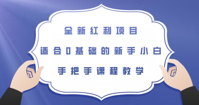 全新红利项目，适合0基础的新手小白，手把手课程教学【揭秘】_豪客资源库