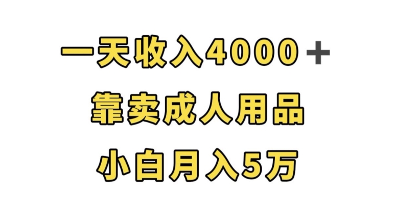 一天收入4000+，靠卖成人用品，小白轻松月入5万【揭秘】_豪客资源库