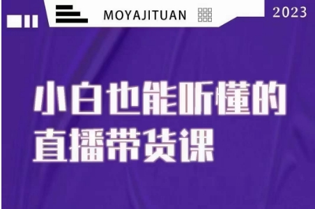 大威本威·能听懂的直播带货课，小白也能听懂，20节完整_豪客资源库