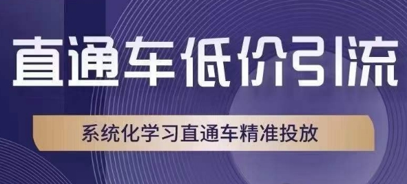 直通车低价引流课，系统化学习直通车精准投放_豪客资源库