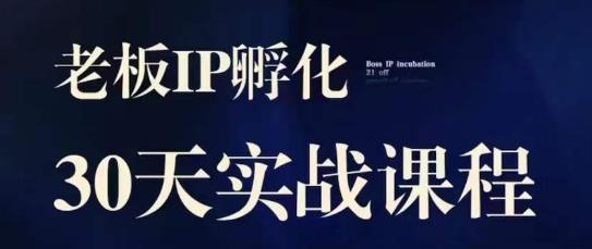 诸葛·2023老板IP实战课，实体同城引流获客，IP孵化必听_豪客资源库