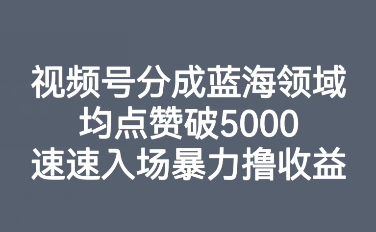 视频号分成蓝海领域，均点赞破5000，速速入场暴力撸收益_豪客资源库