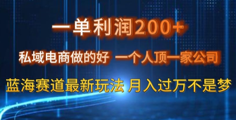 一单利润200私域电商做的好，一个人顶一家公司蓝海赛道最新玩法【揭秘】_豪客资源库