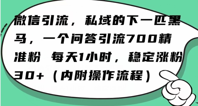 怎么搞精准创业粉？微信新赛道，每天一小时，利用Ai一个问答日引100精准粉_豪客资源库