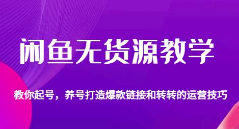 闲鱼无货源教学，教你起号，养号打造爆款链接以及转转的运营技巧_豪客资源库