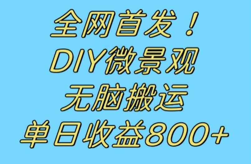 全网首发冷门赛道！DIY微景观，无脑搬运视频，日收益800+【揭秘】_豪客资源库