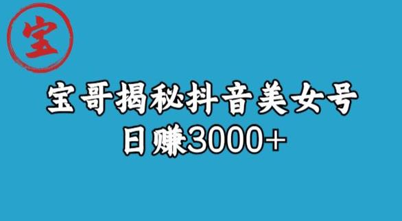 宝哥揭秘抖音美女号玩法，日赚3000+【揭秘】_豪客资源库