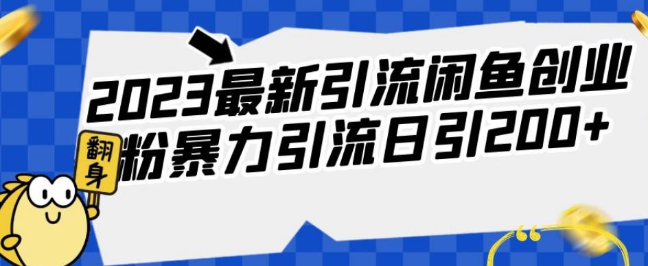 2023最新引流闲鱼创业粉暴力引流日引200+【揭秘】_豪客资源库