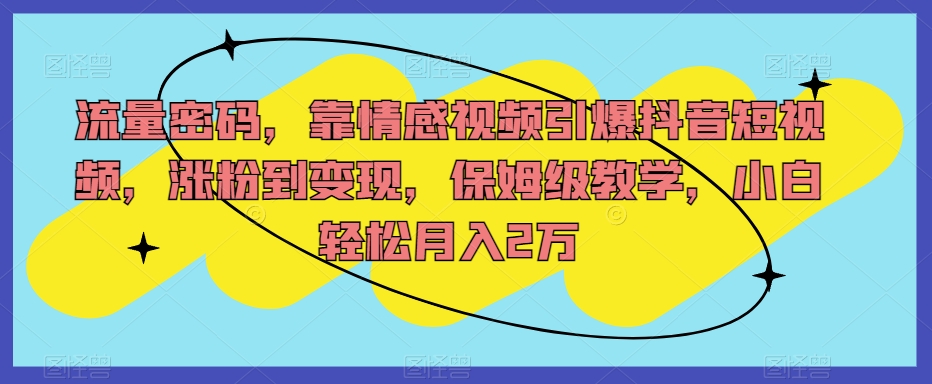 流量密码，靠情感视频引爆抖音短视频，涨粉到变现，保姆级教学，小白轻松月入2万【揭秘】_豪客资源库