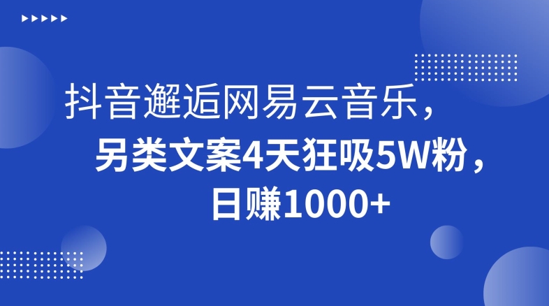 抖音邂逅网易云音乐，另类文案4天狂吸5W粉，日赚1000+【揭秘】_豪客资源库