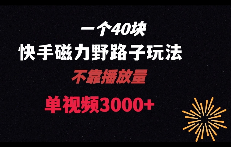 一个40块，快手联合美团磁力新玩法，无视机制野路子玩法，单视频收益4位数【揭秘】_豪客资源库