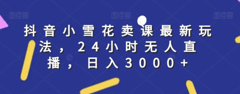 抖音小雪花卖课最新玩法，24小时无人直播，日入3000+【揭秘】_豪客资源库