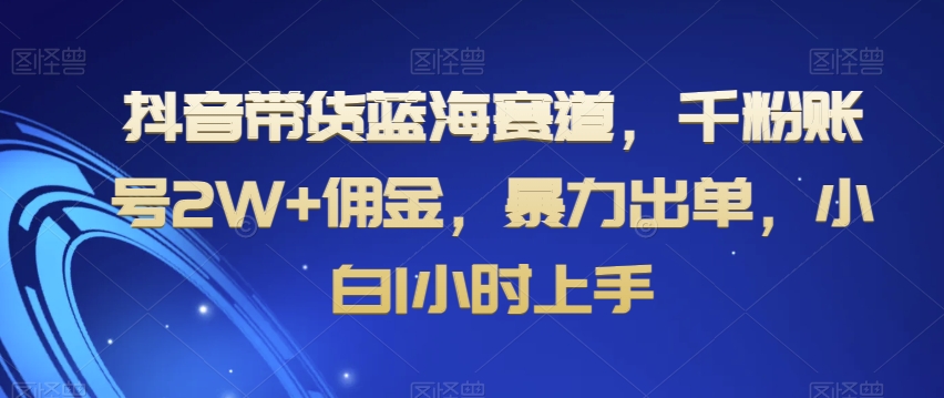 抖音带货蓝海赛道，千粉账号2W+佣金，暴力出单，小白1小时上手【揭秘】_豪客资源库