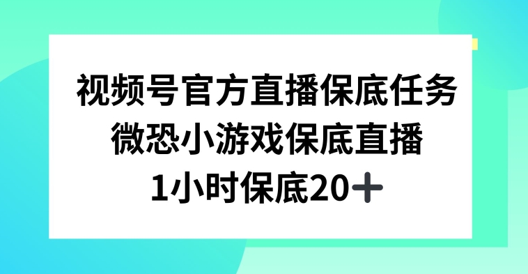 视频号直播任务，微恐小游戏，1小时20+【揭秘】_豪客资源库