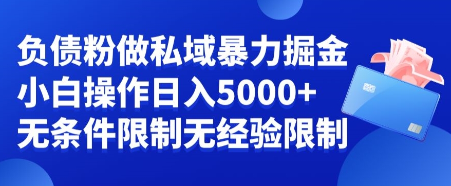 负债粉私域暴力掘金，小白操作入5000，无经验限制，无条件限制【揭秘】_豪客资源库