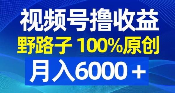 视频号野路子撸收益，100%原创，条条爆款，月入6000＋【揭秘】_豪客资源库