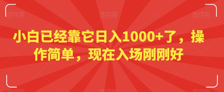 小白已经靠它日入1000+了，操作简单，现在入场刚刚好【揭秘】_豪客资源库