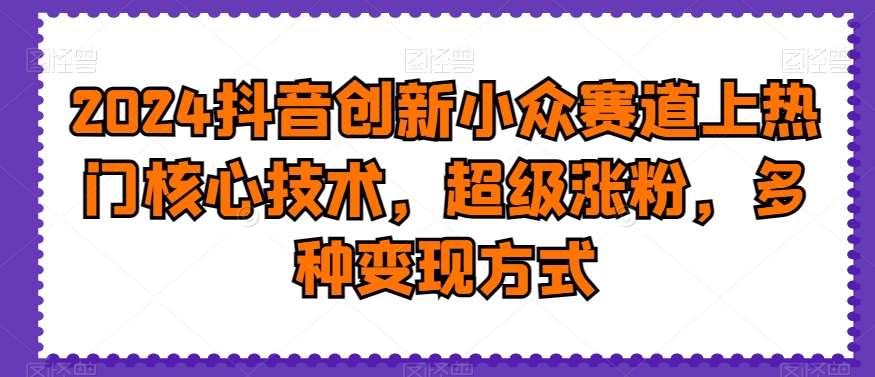 2024抖音创新小众赛道上热门核心技术，超级涨粉，多种变现方式【揭秘】_豪客资源库