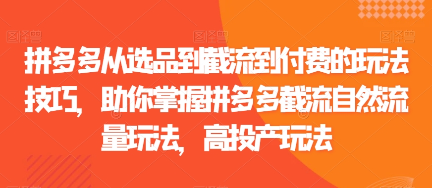 拼多多从选品到截流到付费的玩法技巧，助你掌握拼多多截流自然流量玩法，高投产玩法_豪客资源库