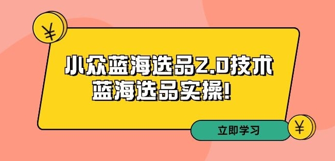 拼多多培训第33期：小众蓝海选品2.0技术-蓝海选品实操！_豪客资源库