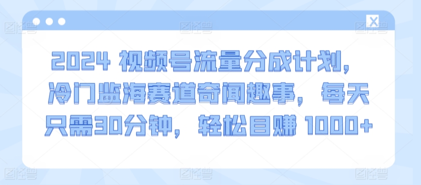 2024视频号流量分成计划，冷门监海赛道奇闻趣事，每天只需30分钟，轻松目赚 1000+【揭秘】_豪客资源库