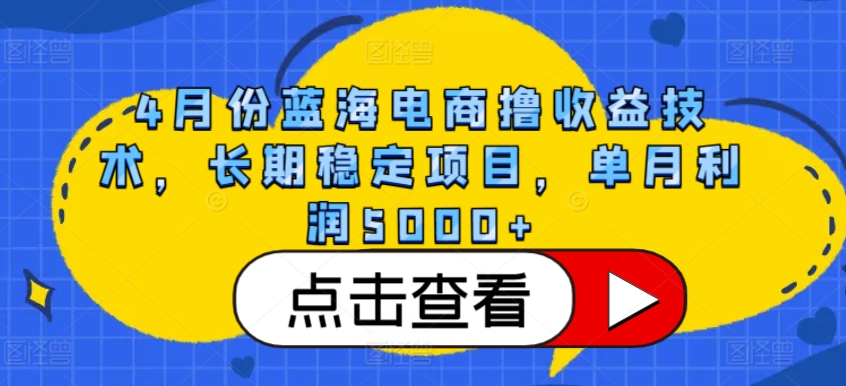 4月份蓝海电商撸收益技术，长期稳定项目，单月利润5000+【揭秘】_豪客资源库