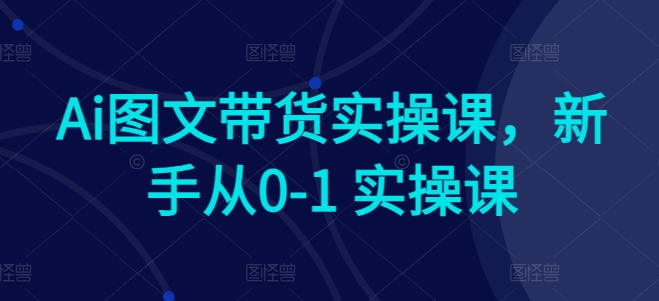 Ai图文带货实操课，新手从0-1 实操课_豪客资源库