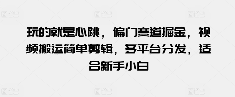 玩的就是心跳，偏门赛道掘金，视频搬运简单剪辑，多平台分发，适合新手小白【揭秘】_豪客资源库