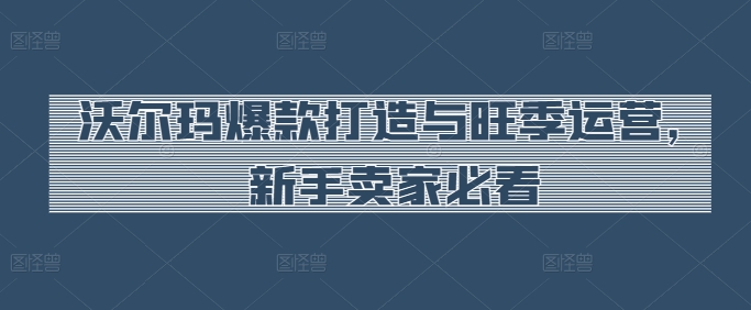 沃尔玛爆款打造与旺季运营，新手卖家必看_豪客资源库