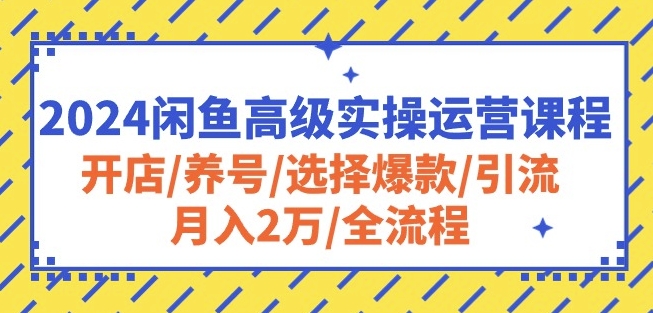 2024闲鱼高级实操运营课程：开店/养号/选择爆款/引流/月入2万/全流程_豪客资源库