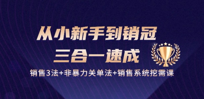 从小新手到销冠 三合一速成：销售3法+非暴力关单法+销售系统挖需课 (27节)_豪客资源库