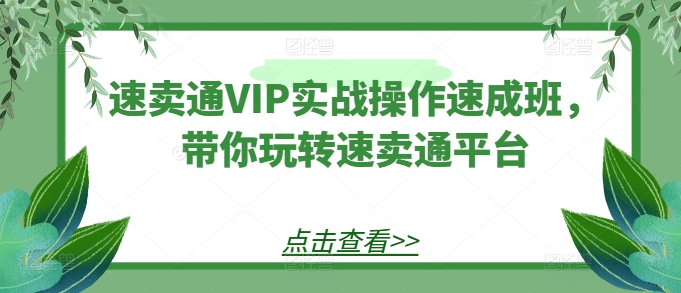 速卖通VIP实战操作速成班，带你玩转速卖通平台_豪客资源库