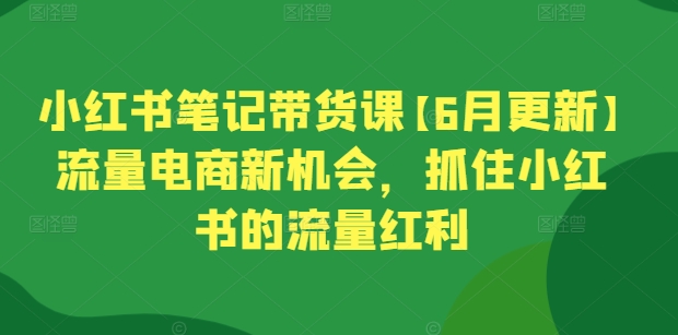 小红书笔记带货课【6月更新】流量电商新机会，抓住小红书的流量红利_豪客资源库