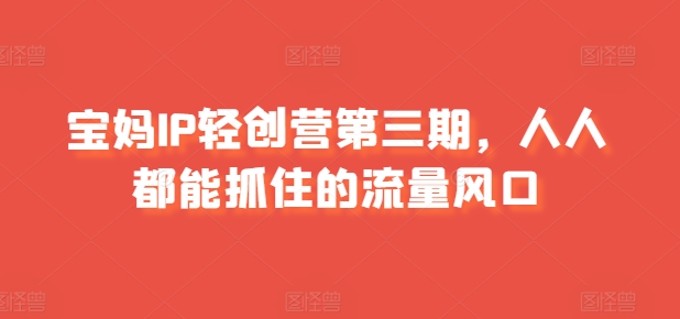 宝妈IP轻创营第三期，人人都能抓住的流量风口_豪客资源库