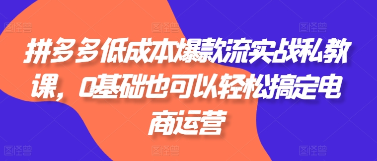 拼多多低成本爆款流实战私教课，0基础也可以轻松搞定电商运营_豪客资源库