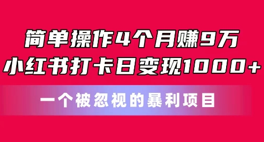 简单操作4个月赚9w，小红书打卡日变现1k，一个被忽视的暴力项目【揭秘】_豪客资源库