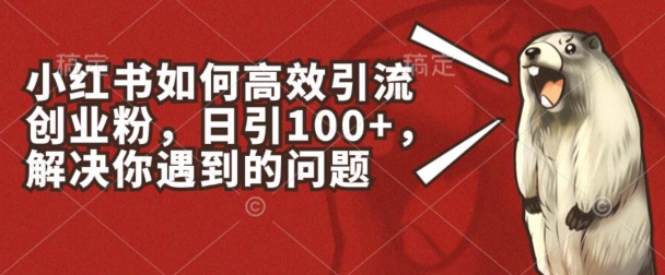 小红书如何高效引流创业粉，日引100+，解决你遇到的问题【揭秘】_豪客资源库