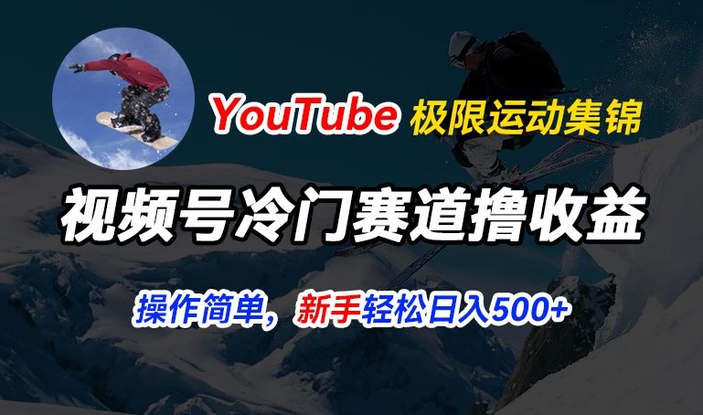 视频号冷门赛道撸收益，YouTube搬运极限运动集锦，暴力起号，操作简单流量高，轻松日入5张【揭秘】_豪客资源库