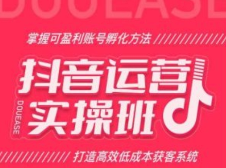 抖音运营实操班，掌握可盈利账号孵化方法，打造高效低成本获客系统_豪客资源库