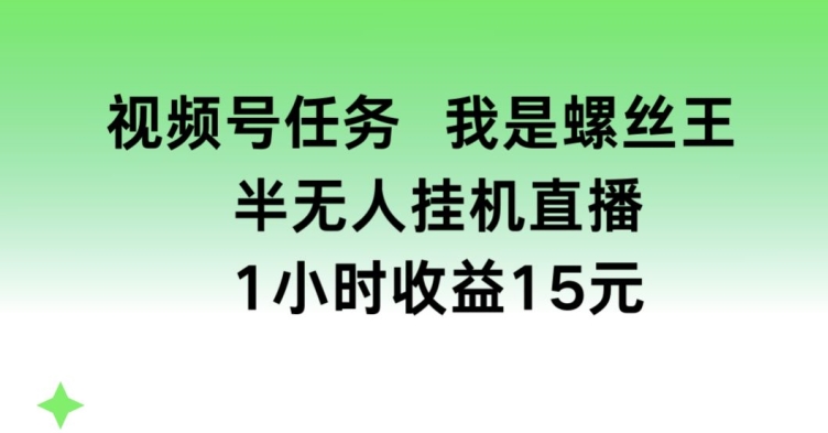 视频号任务，我是螺丝王， 半无人挂机1小时收益15元【揭秘】_豪客资源库