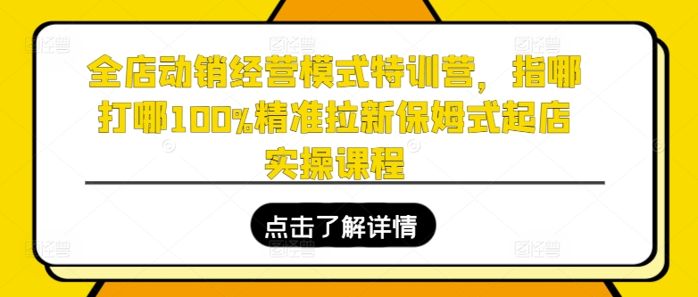 全店动销经营模式特训营，指哪打哪100%精准拉新保姆式起店实操课程_豪客资源库