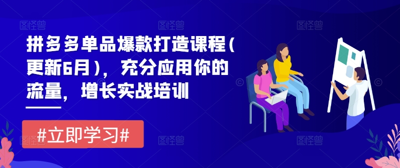 拼多多单品爆款打造课程(更新6月)，充分应用你的流量，增长实战培训_豪客资源库