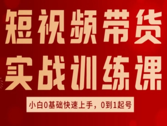 短视频带货实战训练课，好物分享实操，小白0基础快速上手，0到1起号_豪客资源库