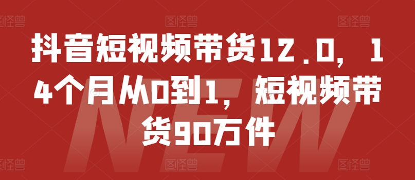 抖音短视频带货12.0，14个月从0到1，短视频带货90万件_豪客资源库