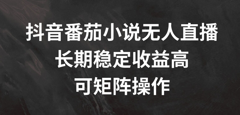 抖音番茄小说无人直播，长期稳定收益高，可矩阵操作【揭秘】_豪客资源库